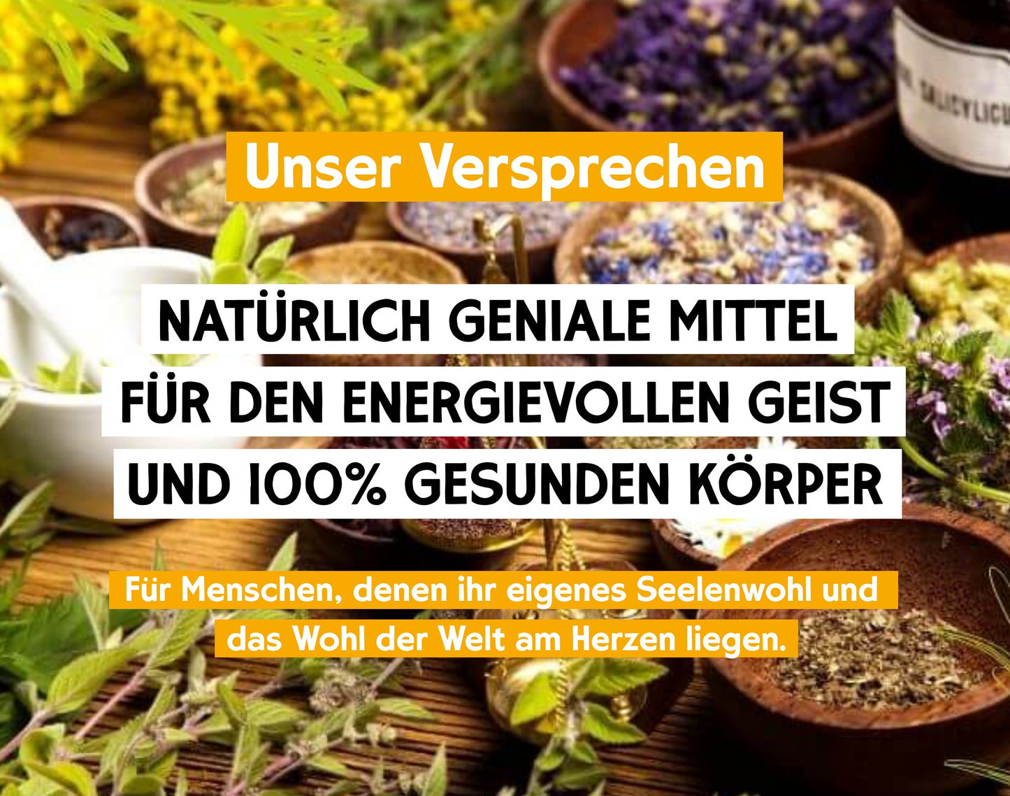 INVERUM herbal elixir to support cognitive abilities