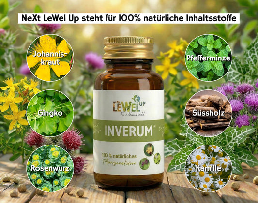 Heilpflanzenelixier INVERUM® als Unterstützung der Kognitionsfähigkeiten