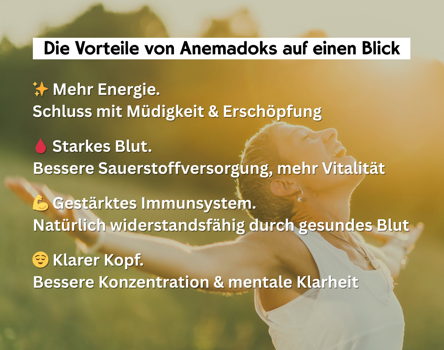 ANEMADOKS medicinal plant elixir for blood purification and regeneration