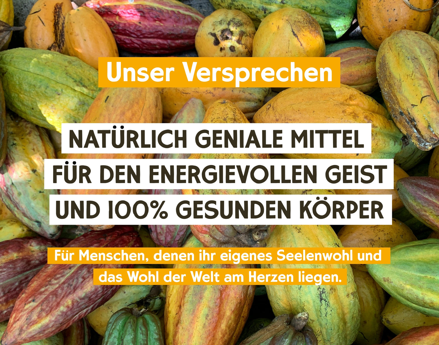 Cocoa nibs (250g) in Demeter raw food quality